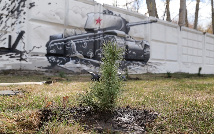 80 кедров посадили в Парке Победы в Нижнем Новгороде