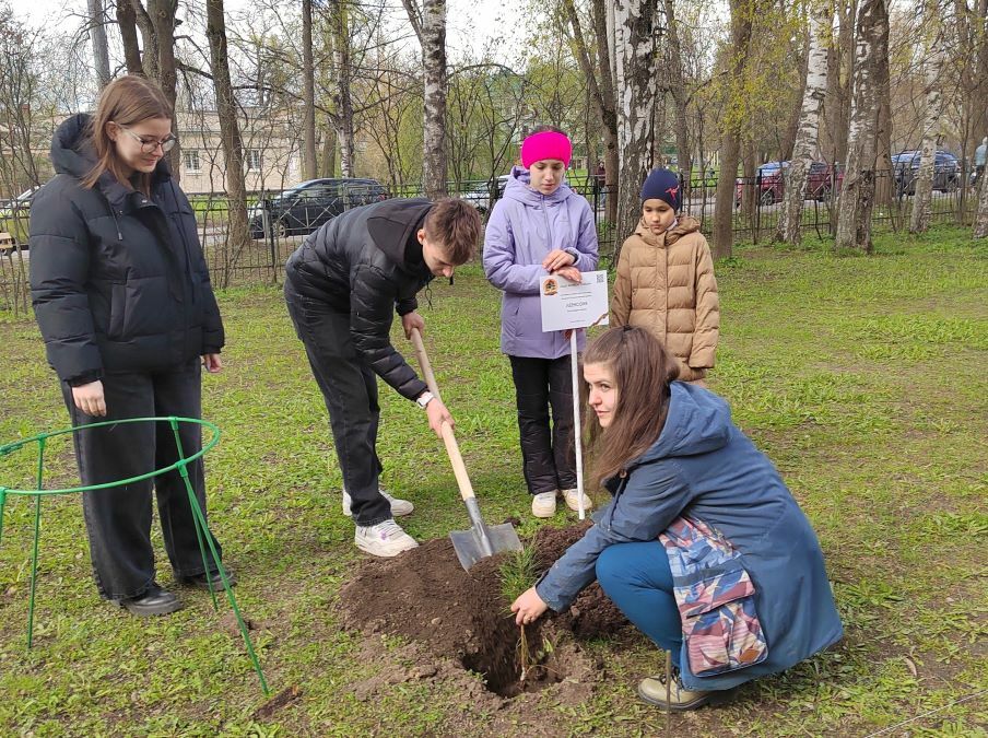 Аллея Памяти, посвященная учителям - участникам Великой отечественной войны